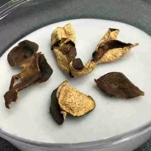 Высококачественный Ченпи Птичье гнездо Упаковка губка полиуретановая губка подкладка внутренняя подкладка упаковка губка прокладка белая мягкая оптовая продажа