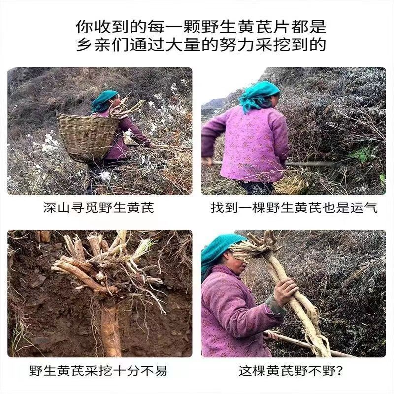 Premium Wild Astragalus Root Slices Huang Qi 500g Dried Herb for Decoction and Tea specifications