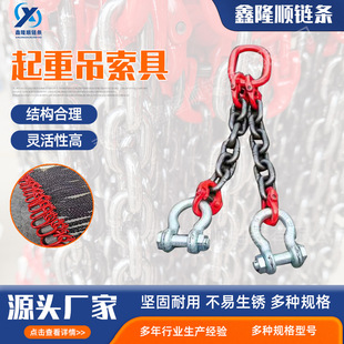 G80 Manganese Steel Chain Rigging Double Leg Chain Sling Complete Set of Lifting Chain Sling Lifting Sling