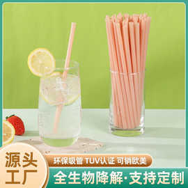 奶茶沙冰火龙果粉色pla可降解吸管 创意食品级一次性吸管东莞厂家