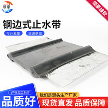 橡胶止水带651型隧道施工用中埋式止水带建筑工程钢边式止水带