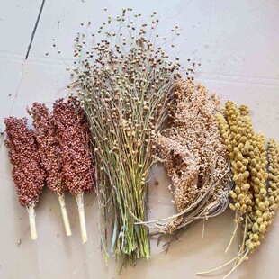 �¹�������������������������т}���W�^�Zʳ����s�Z���