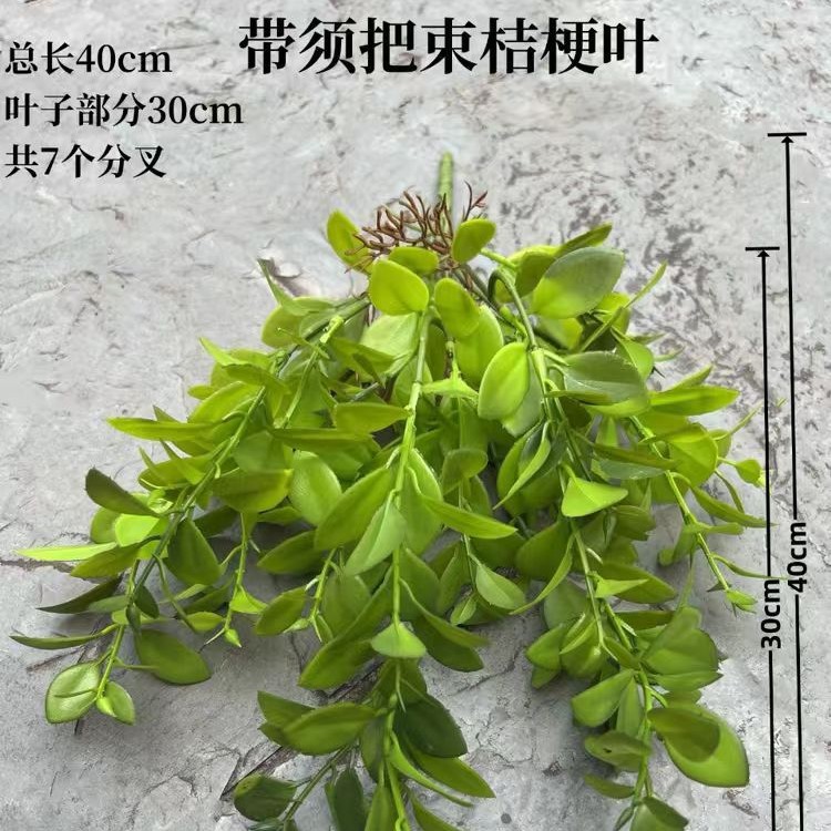 2025-02-20 15:44:21.jpg