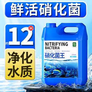 ���������~��ˮ�|�������Ä����������~���~�����_���Bˮ�~�׾S�o