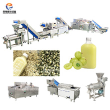 凤翔 工厂直营全自动油柑汁解决方案油柑去核清洗榨汁线油柑加工