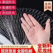 果园大棚加粗尼龙网果树稻谷樱桃葡萄梨树草莓防鸟网泥鳅鱼塘天网