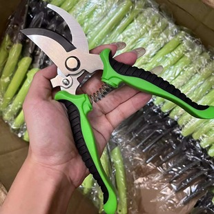 Powerful Branch Shears, Thick Branch Shears, Plant Shears, Flower Pruning Shears, Floral Scissors, All-Steel Pruning Shears, Fruit Picking Artifacts