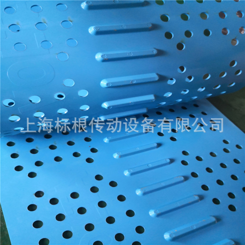 食品输送带 肉制品输送带 防菌易洁带