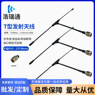 �F؛750MHZ T�ͺ�ģ������FPV��Խ�C�D���o�˙C��̖�����쾀����