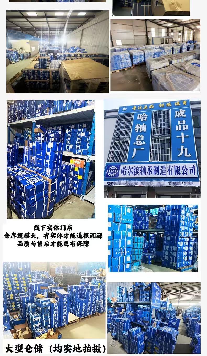 Heavy-Duty Wear-Resistant Hrb Harbin Bearings 32204 32205 32206 Automotive Differential Drive Shaft Bearings
