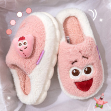 利达妮棉拖鞋女士冬外穿2025新款防滑居家办公室拖鞋情侣秋冬保暖