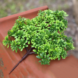 �ɘ�֦����֦���ʽӭ���ɹ����bؘ�֦�~�_�h�����������~