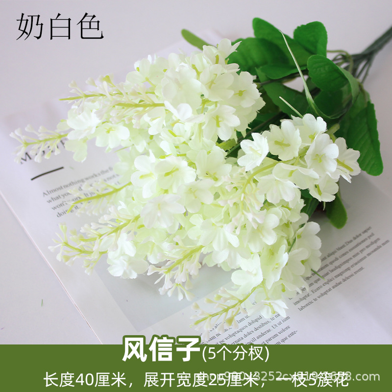 Jacinto blanco lechoso