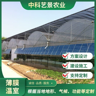 连栋薄膜温室 棚内光照均匀维护简单加厚热浸镀锌钢管 连栋大棚