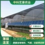 光照加厚均匀热浸镀薄膜
