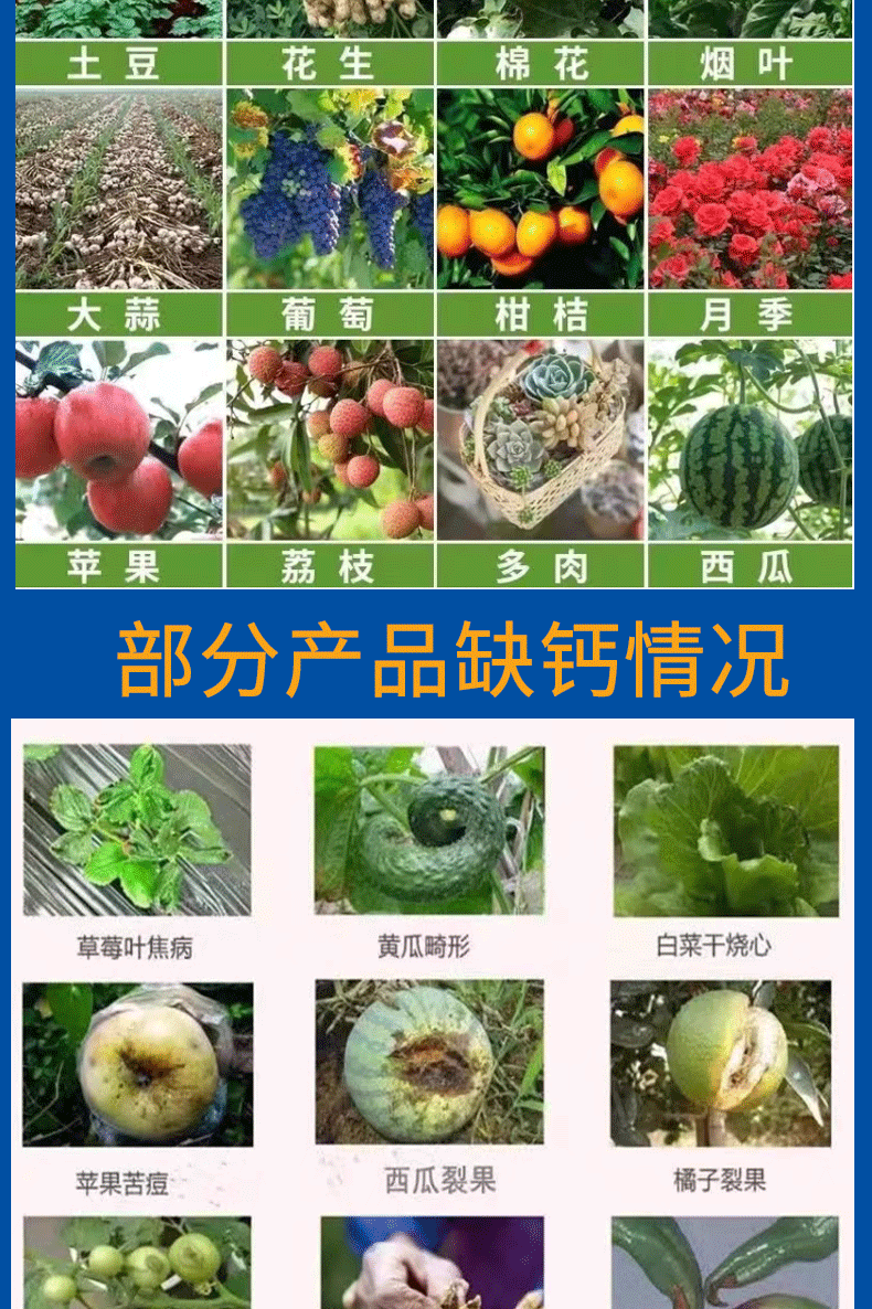硝酸铵钙_08