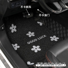 汽车脚垫丝圈通用脚垫主驾驶位垫子可爱车内防水耐脏车垫地毯脚垫