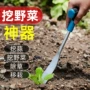 野外多功能移栽花铲野菜