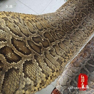 ƤƤ����Ƥ���������l�ü��ߺ������к�����Ƥ����������Ҳ����