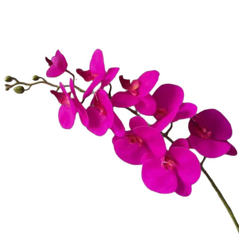 结婚装饰摆件胶片手感3d仿真蝴蝶兰 装饰假花蝴蝶兰仿真花|undefined