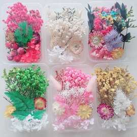 diy手工团扇材料包相框花永生花干花批发植物浮游花香薰蜡烛干花