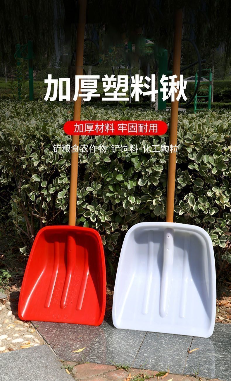 49ab142d-df09-41f3-87f4-a7c82f8c629f.jpe