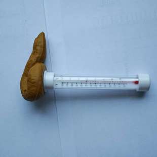 Cross-border new creative spoof poop pool thermometer floating poop pool supplies prank toy ornaments