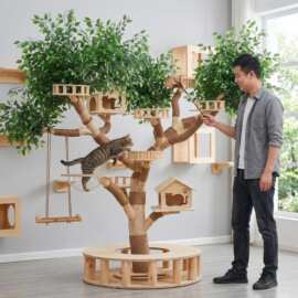 猫爬架猫窝一体猫咪玩具逗猫实木猫抓柱猫防猫抓多功能宠物猫玩具