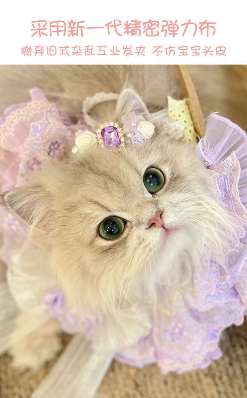 398cf5d8-aa13-49c6-8400-666ca9d21496.jpe