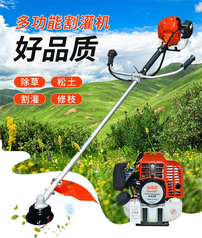 詳情 (1)