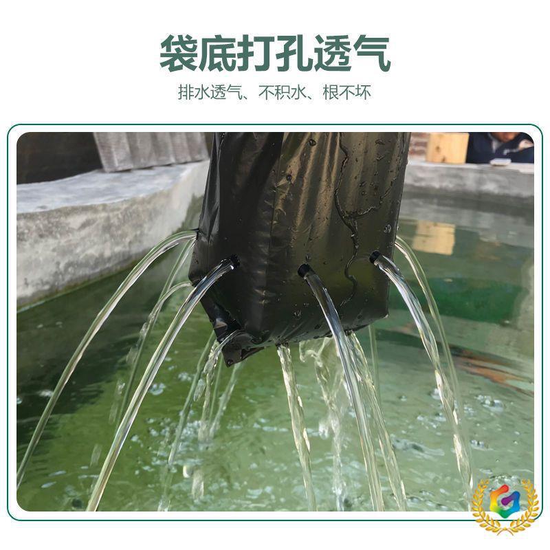 ✅果苗百香果苗加厚黑色塑料育苗袋无纺布育苗袋营养袋袋子