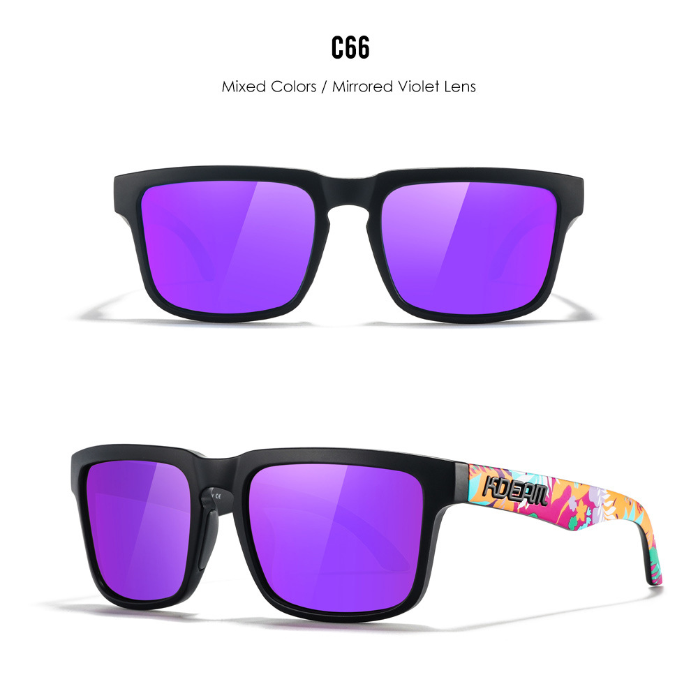 C66