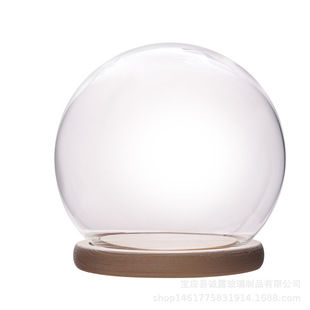 Tiktok-Style Glass-Covered Rose Flower with Led Light, Valentine's Day and Mother's Day Gift, Cross-Border Supply Glass Bottle