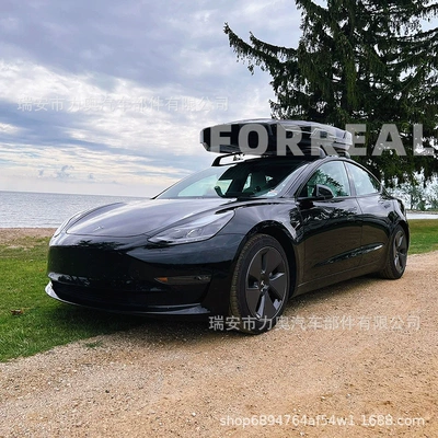 for Tesla Model – Tesla Luggage Rack