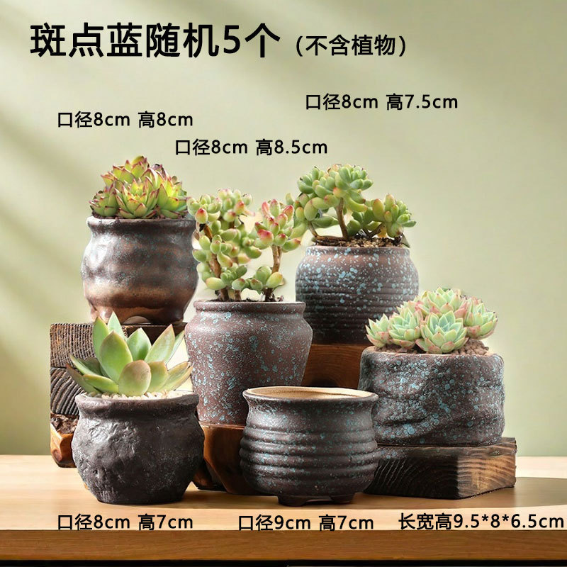 Macetas suculentas de cerámica antigua, carne doméstica, plantas de carne, cerámica, ollas pequeñas de arcilla especial, venta directa de fábrica, liquidación al por mayor