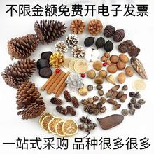 自然干花干果果壳松果装饰幼儿园手工可DIY原材料森系干花圣诞