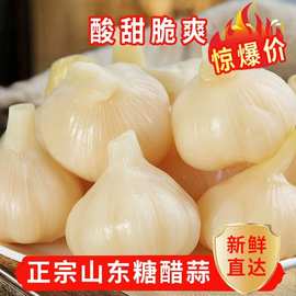 糖醋蒜酱蒜头泡大蒜头腌蒜头下饭菜酱菜泡菜咸菜酸甜爽口小菜代发