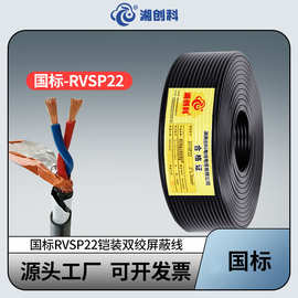 国标铠装双绞屏蔽线RVSP22地埋RS-485通讯线ASP-120Ω线2 4 6 8芯
