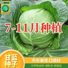 ���Sһ̖���{�N�Ӹ߮a�ﲥ�̨�߲˷N�ݰ��˷N���r�Ҳˈ@���Ĳ���