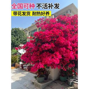 ����÷�ذ����Ԏ������Ϙ��ش�̖�ļ��_����Ʒ÷����������������