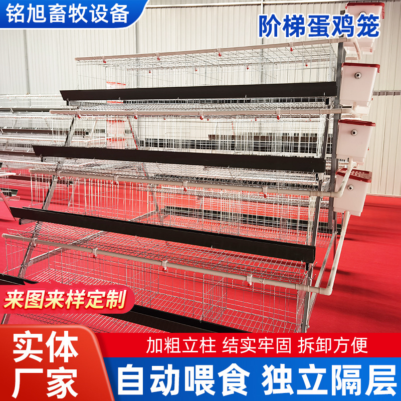 四层阶梯式蛋鸡笼厂家直供育雏笼小鸡笼大号层叠式肉鸡笼子养殖场