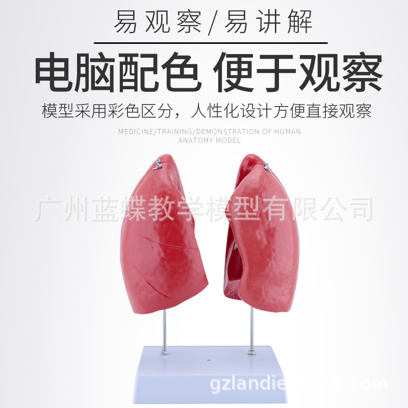 ��Ȼ��ν��� ҽѧ����ζην���ģ�� ����ϵͳ�ζ�����ƺ�����