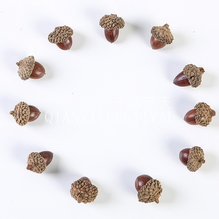 森系天然ドングリの飾り手作りのドライフラワーのペンダント