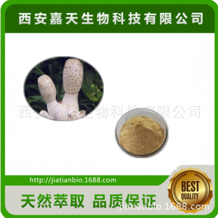 供应鸡腿菇提取物 鸡腿菇多糖20% 鸡腿菇浸膏粉  多种规格