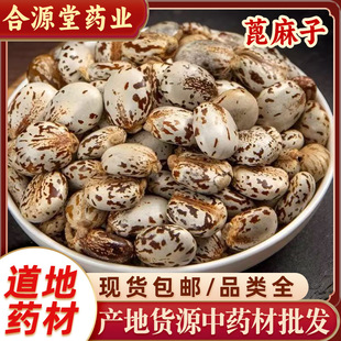 �����ӹ��������ș���� �����ѱ����ӱ������Ӵ��������ă�