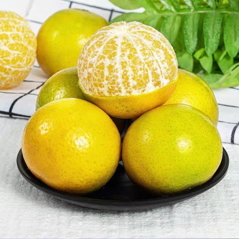 Orange Guangxi Emperor Kom Large fruit fresh fruit 3/9 Gonggan Orange Tangerine Citrus Cross border