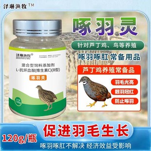 �����`������������ë�I�B���J���u�W�^��ë��΢��Ԫ��������ӄ�