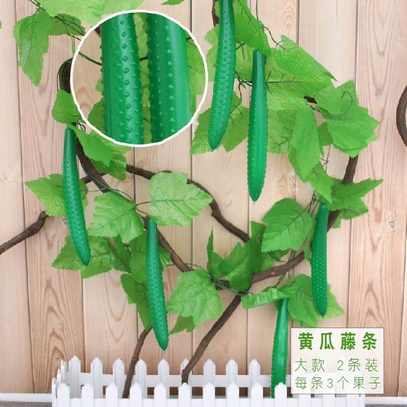 대형 오이(2팩)