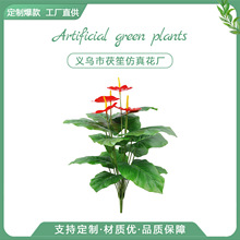 羳62cm18^tƼٻˮ^Ƶ깫˾b滨