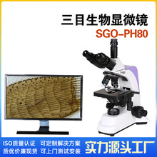 生物数码显微镜实验室标本检测专业SGO-PH80生物显微镜